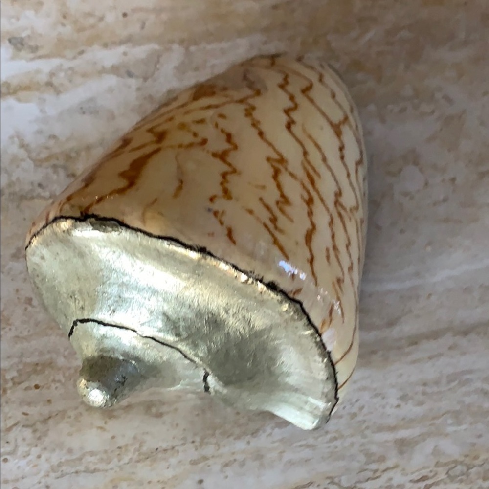 Silver deco shells - Picture 3 of 8